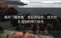 揭开“窝窝看”背后的秘密，成为你生活中的得力助手