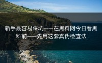 新手最容易踩坑——在黑料网今日看黑料前——先用这套真伪检查法