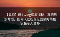 【震惊】糖心vlog深度揭秘：真相风波背后，圈内人在粉丝见面会的角色疯狂令人意外